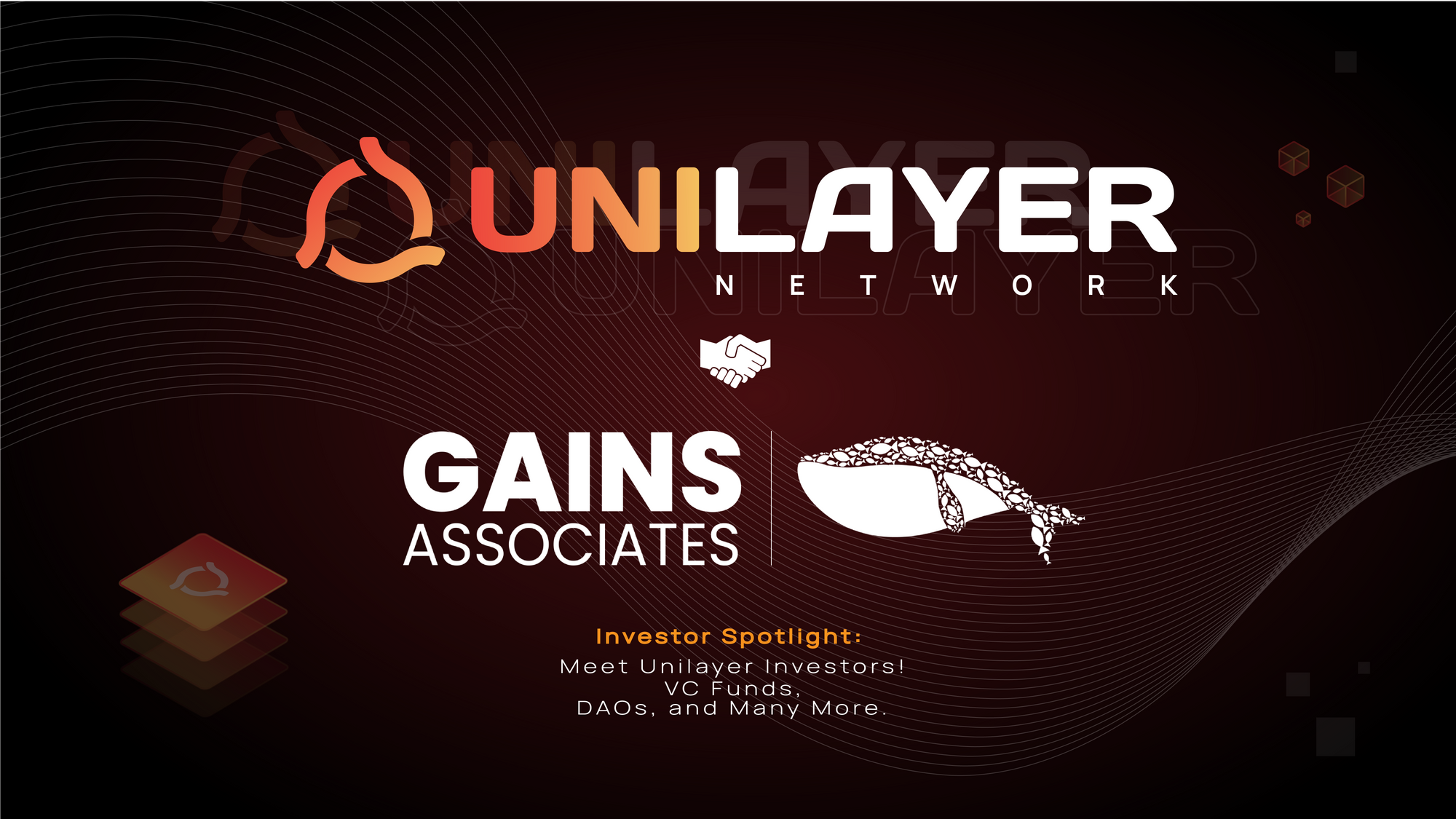 Investor Spotlight: Meet Unilayer Investors! VC Funds, DAOs, and Many More.